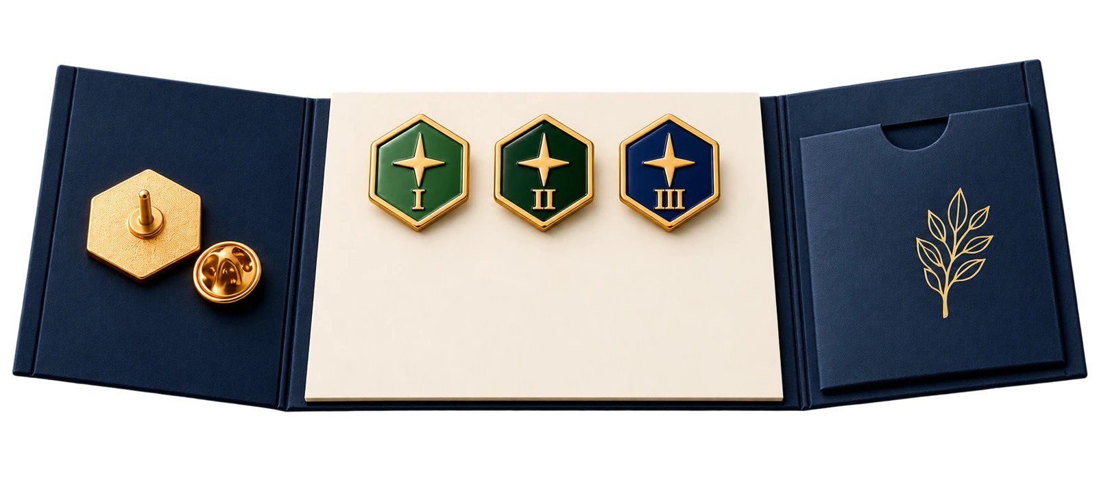 Open dark blue programme folder with three recognition pins, matching hexagonal reverse and presentation pocket